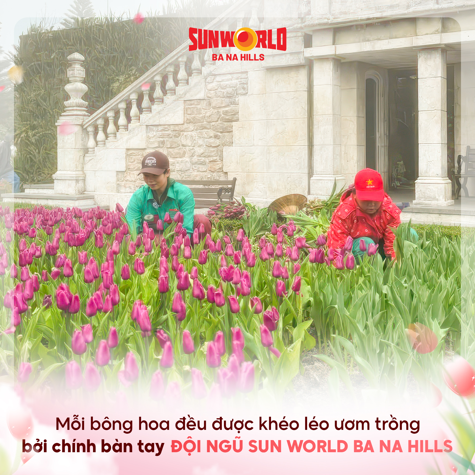 le-hoi-hoa-tu-lip-ba-na (6).jpg